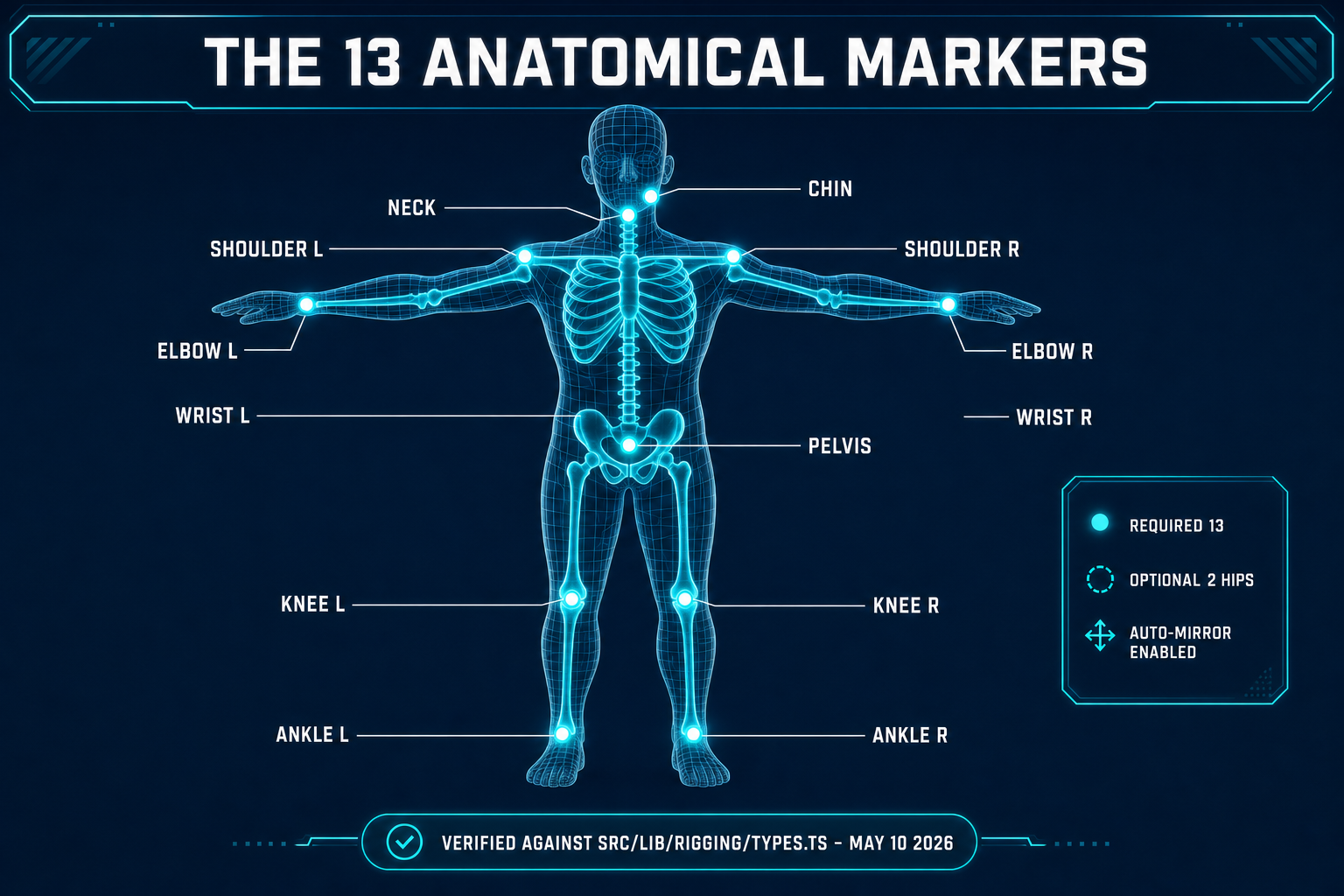 The 13 anatomical markers that drive the humanoid auto rig: pelvis, neck, chin, shoulder L and R, elbow L and R, wrist L and R, knee L and R, ankle L and R, plus optional hip markers